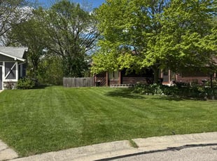 Nenad R.'s lawn care services service result