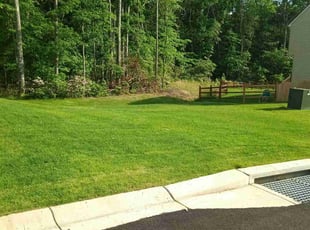 Alesia P.'s lawn care service result