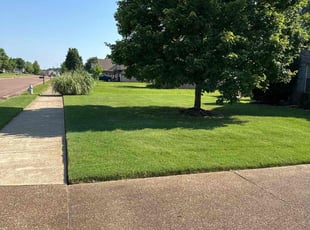 Danielle S.'s lawn maintenance service result