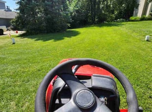 Thomas K.'s turf maintenance service result