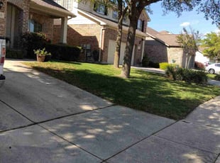 Felisha P.'s lawn care services service result