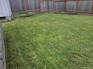 Lee M.'s grass maintenance service result
