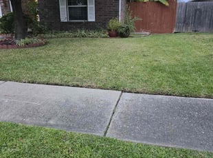 Wei Y.'s grass cutting service result