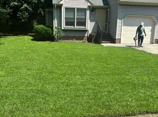 Charmian W.'s turf care service result