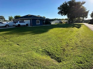 Katie D.'s grass maintenance service result