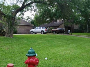 Thomas C.'s lawn maintenance service result