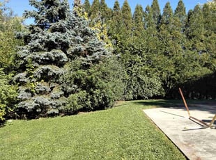 Tiasha M.'s lawn service service result