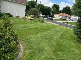 Lacey W.'s lawn service service result