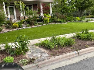 Shashank G.'s lawn care service result
