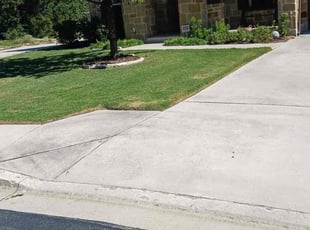 Dante R.'s lawn service service result