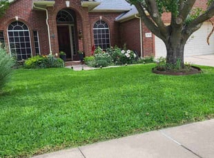 Mat G.'s lawn service service result