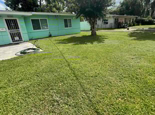 Lorraine D.'s turf care service result