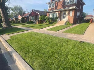 Erika S.'s grass cutting service result