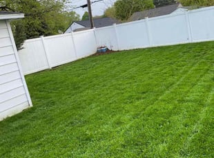 Deanna N.'s grass cutting service result