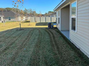 Richele K.'s lawn care service result