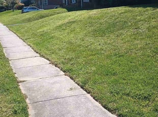 Mark M.'s grass cutting service result