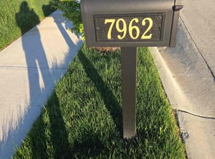 Barbara P.'s grass maintenance service result