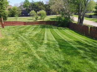 Ashley M.'s grass maintenance service result