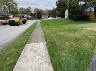 David V.'s lawn care service result