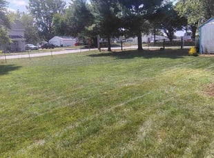 Rosalia m.'s turf maintenance service result