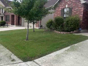 Wayne B.'s turf maintenance service result