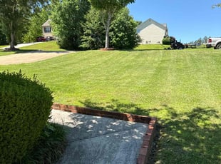 Heather S.'s turf care service result