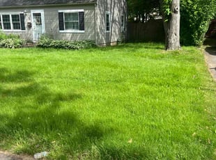 Michael B.'s turf care service result