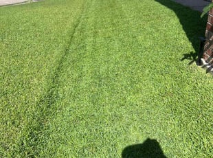 Wendy S.'s lawn service service result