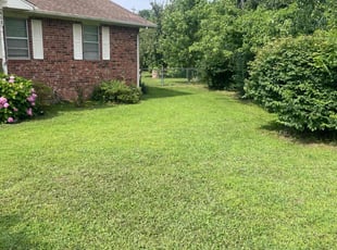 Kremena T.'s grass cutting service result