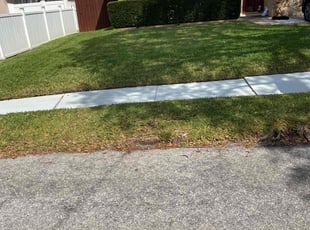 Linda M.'s turf care service result