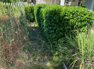 Yusuf A.'s Bush Trimming service result