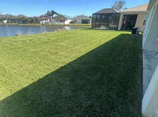 Wendy B.'s grass maintenance service result