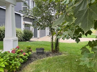 Daniel B.'s turf maintenance service result