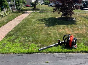 Shay S.'s lawn care services service result