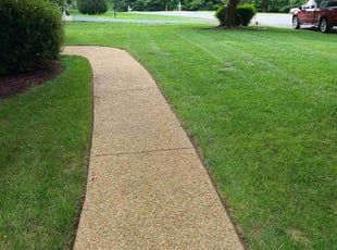 LaQuieta L.'s turf care service result