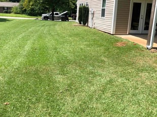 Pablo M.'s turf maintenance service result