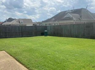 Preitus M.'s turf care service result