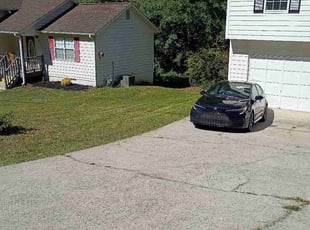 Hlasu L.'s grass maintenance service result