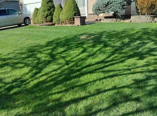 Kathleen K.'s grass maintenance service result