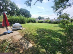 Dishon G.'s lawn service service result