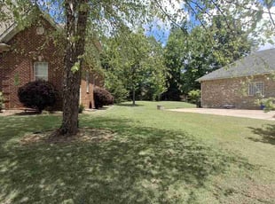 Jeremy K.'s grass maintenance service result