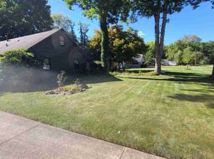 Tammy F.'s turf care service result