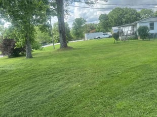 Robert H.'s lawn care services service result