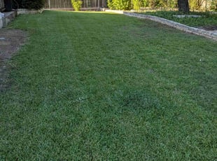 Wendi H.'s lawn maintenance service result