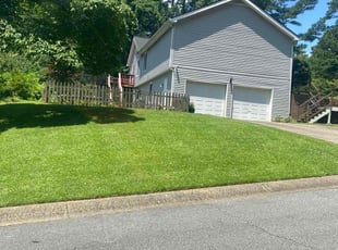 Brandon F.'s lawn service service result