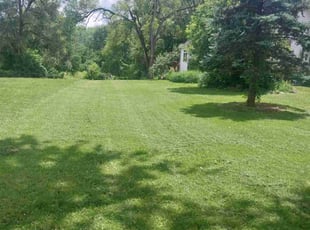 Jerry C.'s lawn care service result