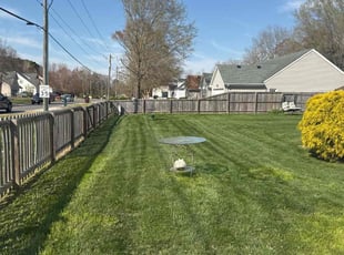 Stacey A.'s lawn service service result
