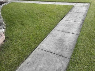 Natashia G.'s turf care service result