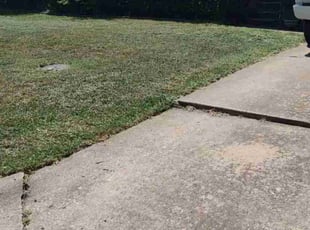 Harry F.'s grass cutting service result