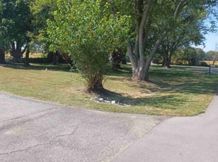 Samuel M.'s turf maintenance service result